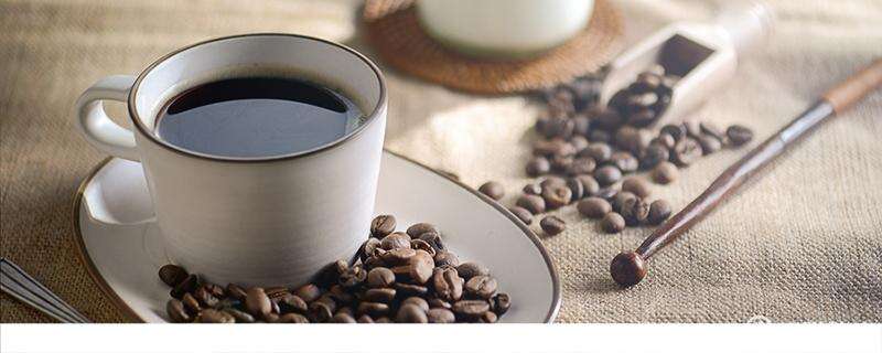 早上一杯黑咖啡减肥法