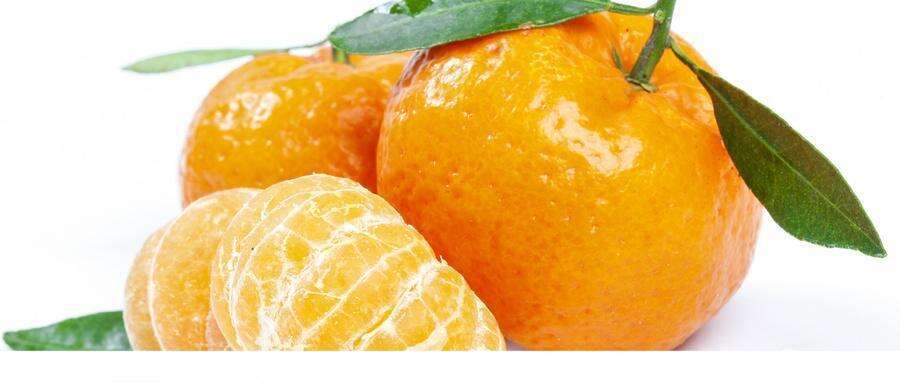 减肥可以吃橘子粉吗