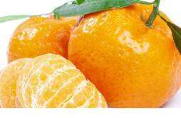 吃橘子能减肥吗 吃橘子可以减肥吗