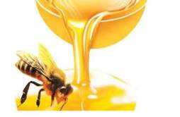蜂蜜水减肥法有用吗 蜂蜜水的减肥方法