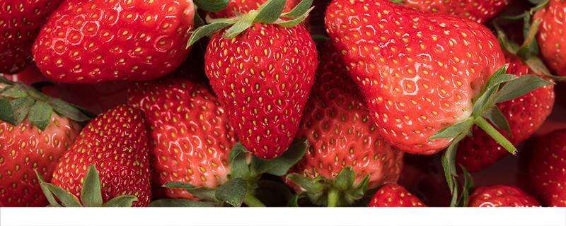 减肥期间吃草莓会发胖吗