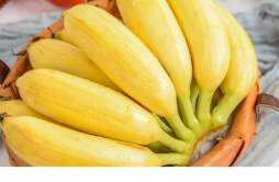 减脂一天可以吃多少香蕉 减脂期间一天可以吃几个香蕉