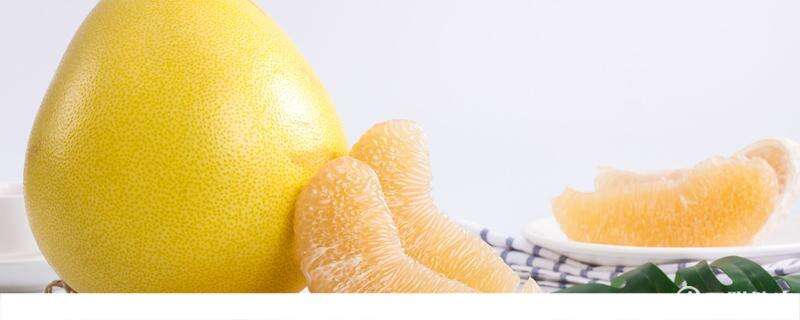 减肥期间能吃柚子吗