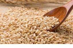 燕麦米怎么吃最减肥 燕麦米怎么吃最减肥效果好