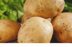 土豆减肥怎么吃合适