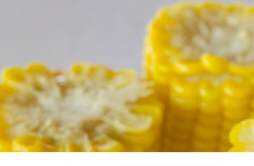 甜玉米和糯玉米哪个减肥效果好 甜玉米和糯玉米哪个升糖指数高
